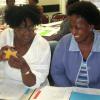 Metro Central Education District, Teacher Training, March 2014
